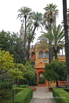 Les jardins de l’Alcazar à Séville