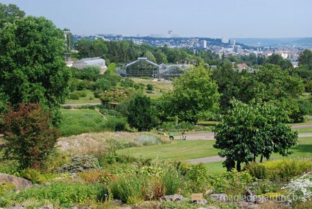 Lorraine: Jardin Botanique du Montet (Nancy)