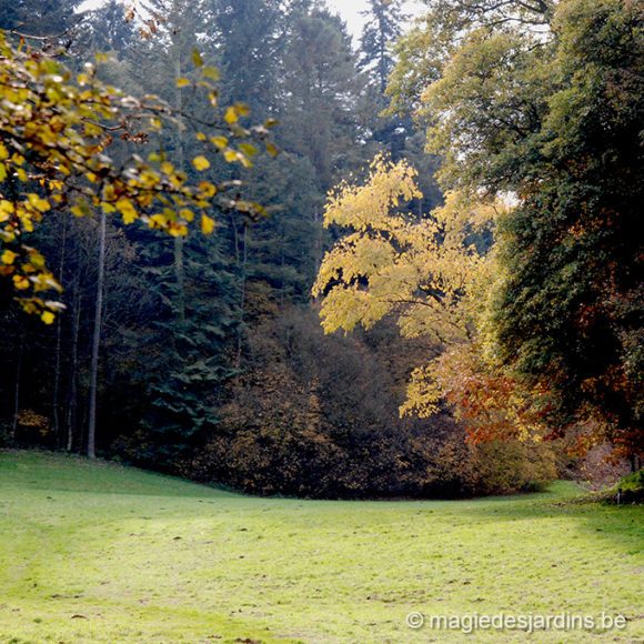 Arboretum De Tervuren