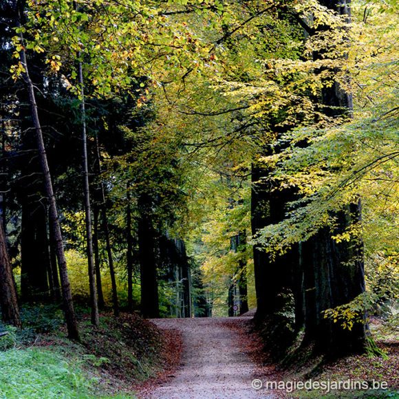 Arboretum De Tervuren