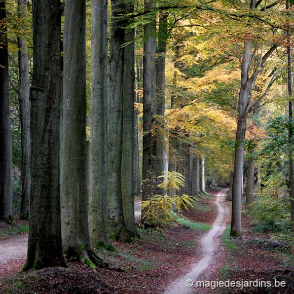 Arboretum De Tervuren