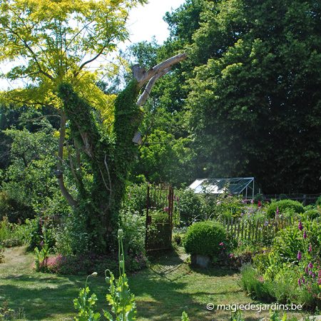 Un jardin ‘Nature admise’ (Partie 2)