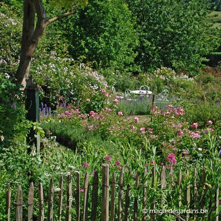 Comment avoir un beau jardin sans engrais chimiques (Part 1)