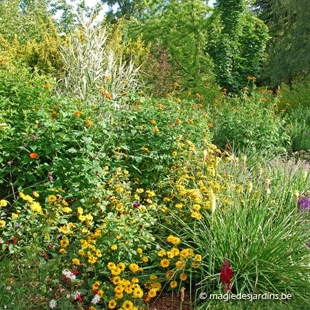 Un jardin sain sans pesticides